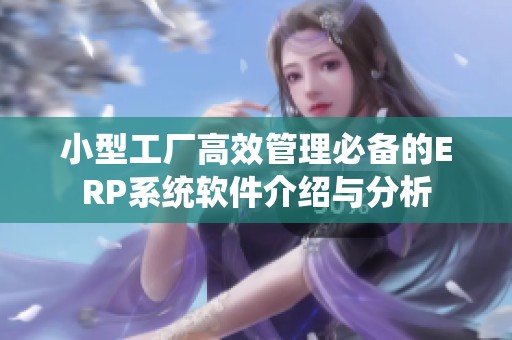 小型工厂高效管理必备的ERP系统软件介绍与分析