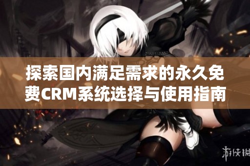 探索国内满足需求的永久免费CRM系统选择与使用指南